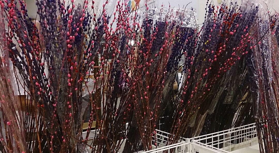 9 Lucky Plants and Flowers for Chinese New Year