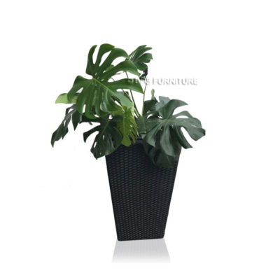 BFG-Monstera-Planter-Box