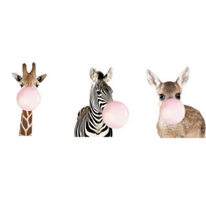 ‘Zebra, Giraffe, Deer’ Frame (Set of 3)